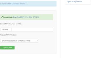 MP3 smaller screenshot 1