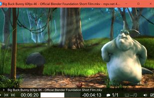 mpv.net screenshot 1