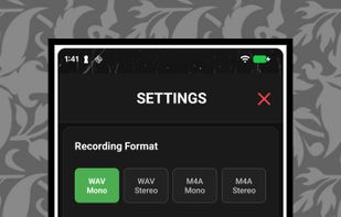 Recording format and EQ