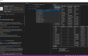 mssql for Visual Studio Code screenshot 1
