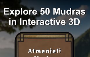 Explore 50 Mudras in Interactive 3D