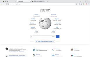 Mullvad Browser screenshot 2