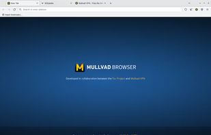 Mullvad Browser screenshot 1