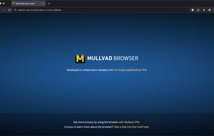 Mullvad Browser screenshot 1