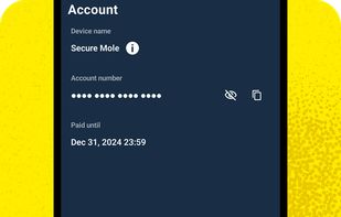 Mullvad VPN screenshot 2