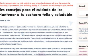 Multiblog AI screenshot 2