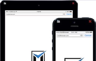 MultiBrowser screenshot 2