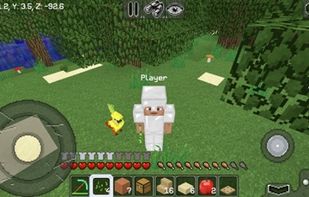 MultiCraft ? Build and Mine! screenshot 2