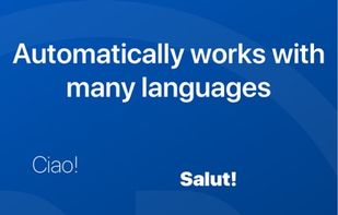 Multilingual Whisperer screenshot 1