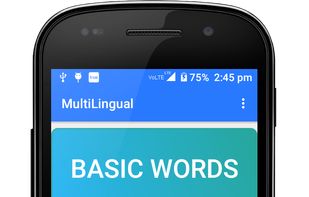 Multilingual main screen
