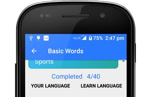 basic word translation example