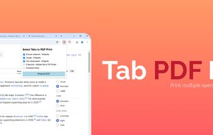 Multiple Tab to PDF Printer screenshot 1