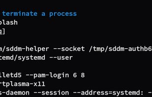 Autocomplete descriptions, process IDs accompanied by process names: