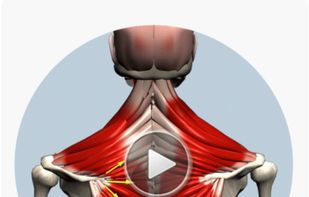 Muscle and Motion screenshot 2