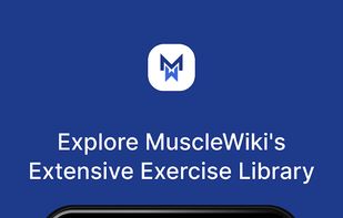 MuscleWiki screenshot 1