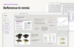 Muse Canvas screenshot 2