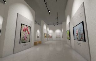 Museum of All Things screenshot 1