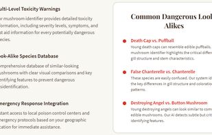 Mushroom Identification screenshot 2