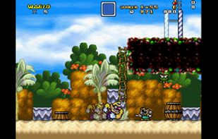 Mushroom Kingdom Fusion screenshot 2