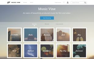 Music Vine screenshot 1