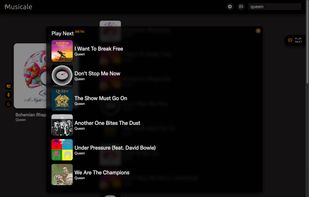 Play Next (Beta) feature