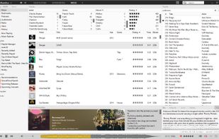 -Library View.
-Waveform Seekbar / Progress bar