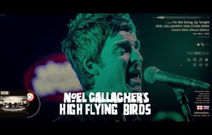 MusicCovered screenshot 1