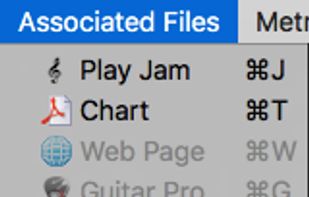 Associate tabs, jam tracks, pdf charts, notes (Word, Excel) to any video/audio track