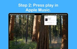 MusicRPC screenshot 3