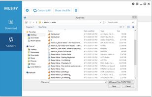 Musify Music Downloader screenshot 1