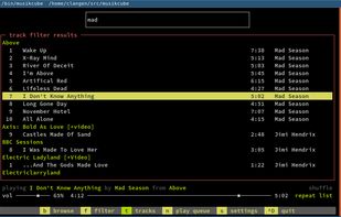 musikCube screenshot 2