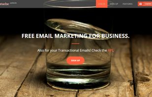 Mustache.Website screenshot 1