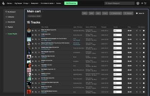 A Beatport cart filled from one playlist, each track on the right mix, waiting for you to check out.
