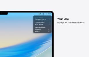 Mux: Auto Network Switch screenshot 1