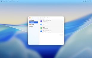 Mux: Auto Network Switch screenshot 2