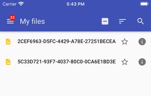 MXroute screenshot 1