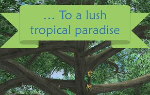 My Aviary screenshot 1