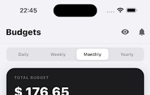 My Budget Plan screenshot 2