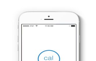 My Calorie Limit screenshot 2
