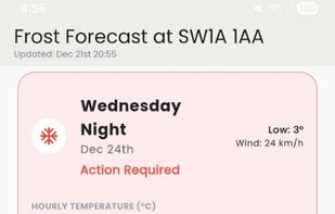 Frost forecast by day