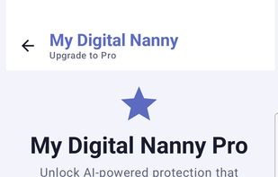 Pro features