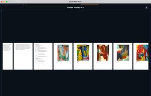 Preview your complete artist portfolio, including artist statements, biography, CV, and artwork pages, before exporting the PDF.