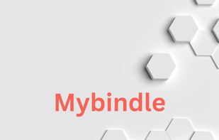 MyBindle  screenshot 1