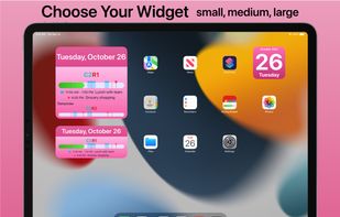 MyDayWidget screenshot 3