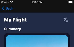 MyFlight.life screenshot 1