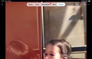 MyHeritage screenshot 2