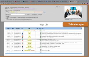 Tab Manager - A page is currently selected