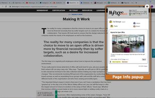 Popup - Web page Info & extension control panel