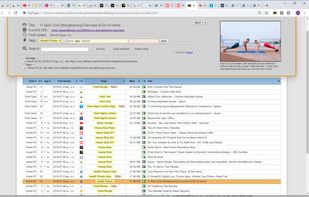 Tab Manager - A page is currently selected