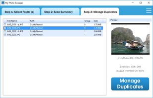 Manage Duplicates